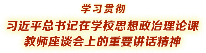 学习贯彻习近平总书记在学校思想政治理论课教师座谈会上的重要讲话精神