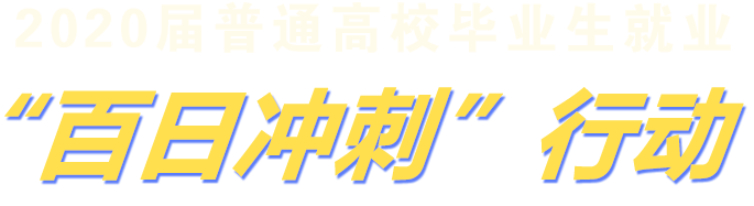 2020届普通高校毕业生就业‘百日冲刺’行动