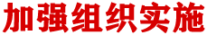 加强组织实施