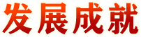发展成就