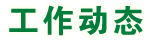 工作动态