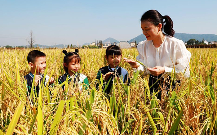 世界粮食日：爱粮节粮 从我做起