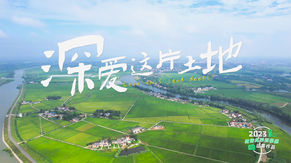 深爱这片土地