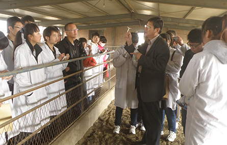 为乡村振兴培养高素质技术人才——记宁夏职业技术学院研究员许斌
