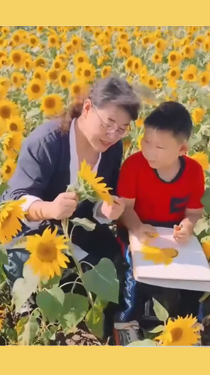 她带着乡村孩子们，走过“美”的四季