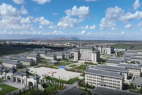 风好正是扬帆时 不待扬鞭自奋蹄