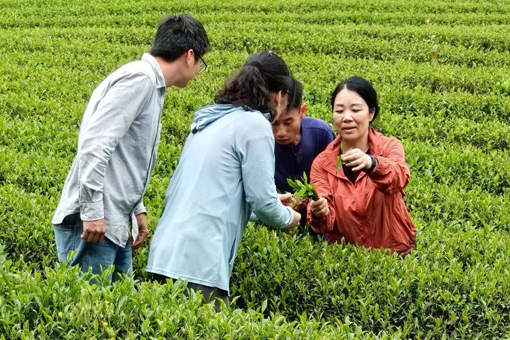扛锄头，下田地！她带领学生把科学技术送到田间地头的“最后一公里”