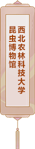 西北农林科技大学昆虫博物馆