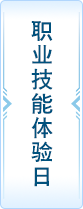 职业技能体验日