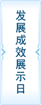 发展成效展示日