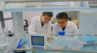 “顶天立地”做科研！来看“最美教师”王如竹的故事